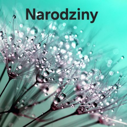 NARODZINY webinar do odsłuchania